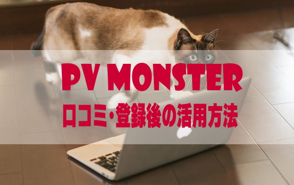 PVモンスターの2ch口コミと評判は？審査に合格したので仕組と記事作成に関しても説明する