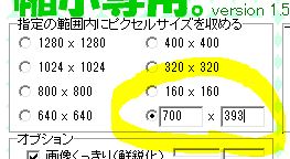 ペイントソフトでサイズ調整