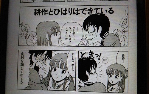 ストップ!!ひばりくん!の耕作とひばり