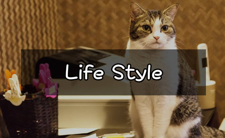 lifestyle