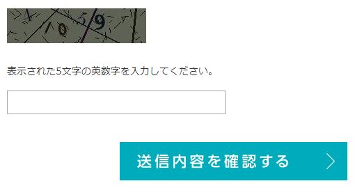 送信内容を確認するの説明画像