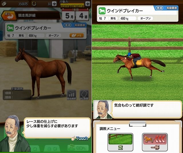 競走馬の調教シーン