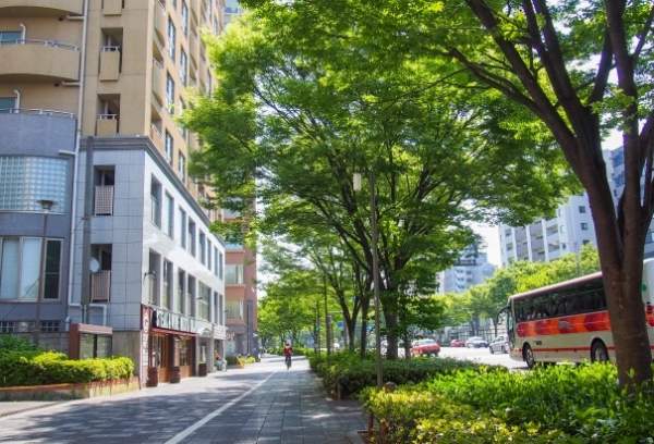 街の道路と風景