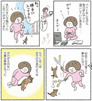 しみことトモヱ 猫がいるから大丈夫の冒頭