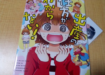 出産の仕方がわからない!の表紙