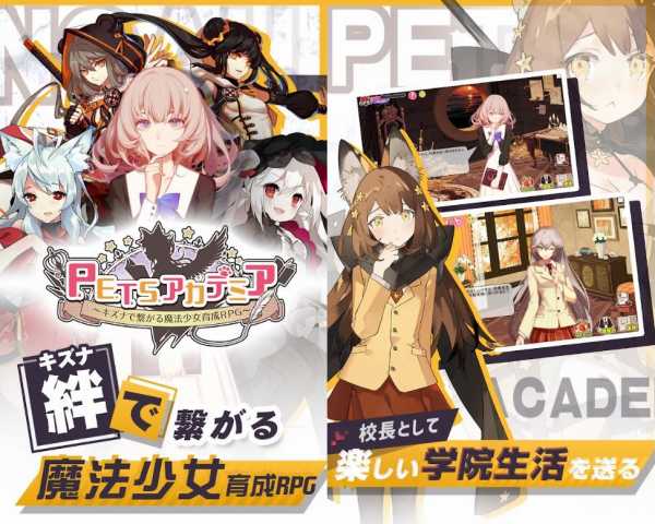 PETSアカデミアの紹介画像