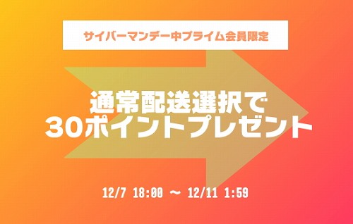 サイバーマンデーセール中の通常配送キャンペーン紹介画像