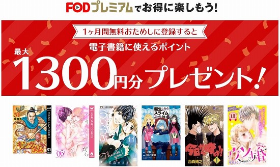 FODプレミアムの紹介画像