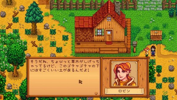 Stardew Valleyの画像