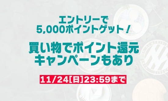 ポイントゲットの紹介画像