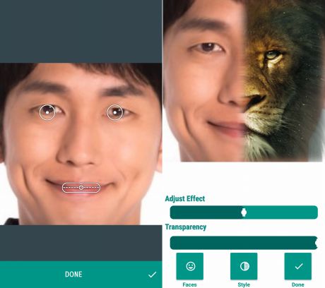 Animal Face Morphing Photo Editorのモーフィング画像