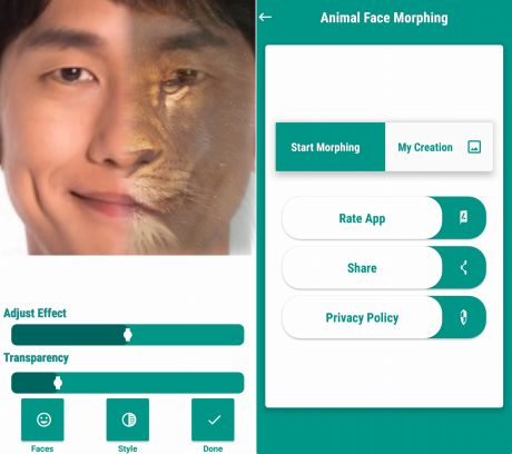 Animal Face Morphing Photo Editorのモーフィング画像