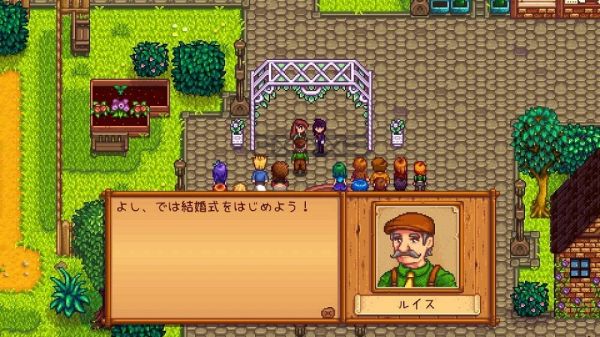 stardew valley（PS4版）の画像