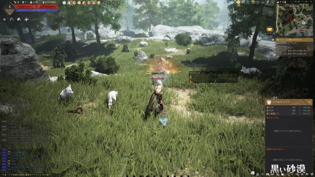 黒い砂漠のPCゲームプレイ画像