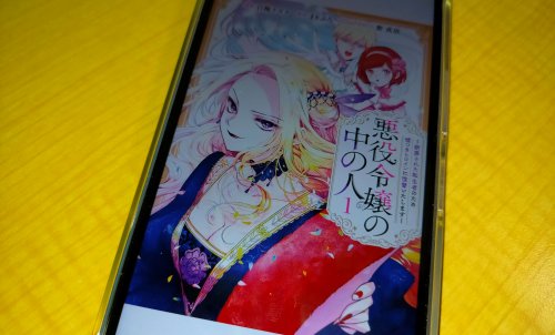悪役令嬢の中の人の表紙