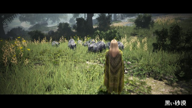 PC戦争ゲーム「黒い砂漠」のプレイ画像